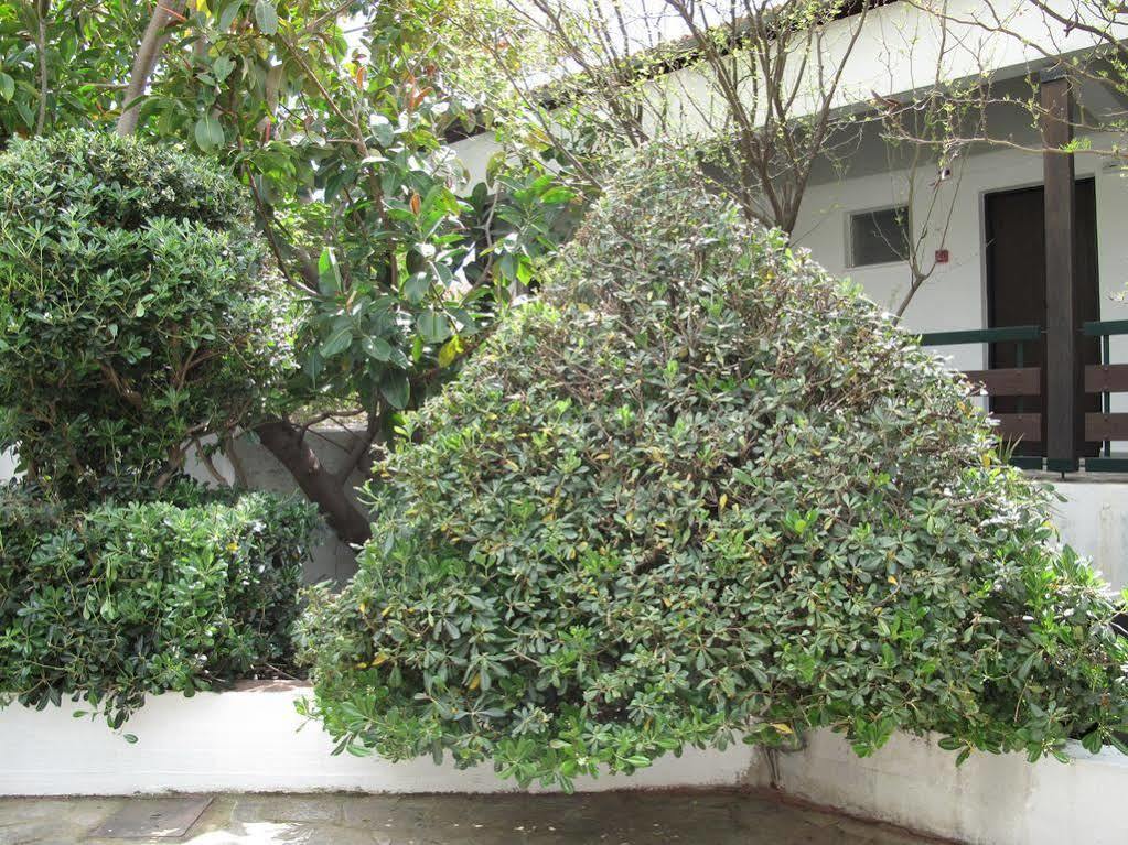 Sunningdale Hotel Agia Galini Exterior foto